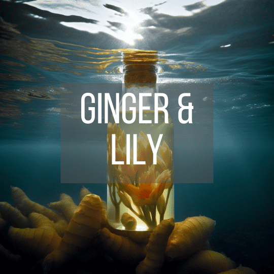 Geurolie vulling Ginger Lily